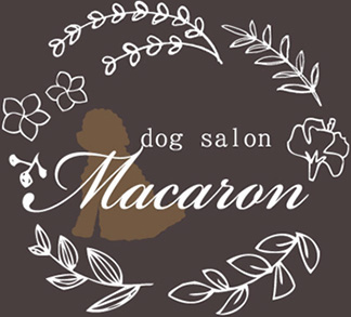 dog salon Macaron