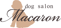 dog salon Macaron